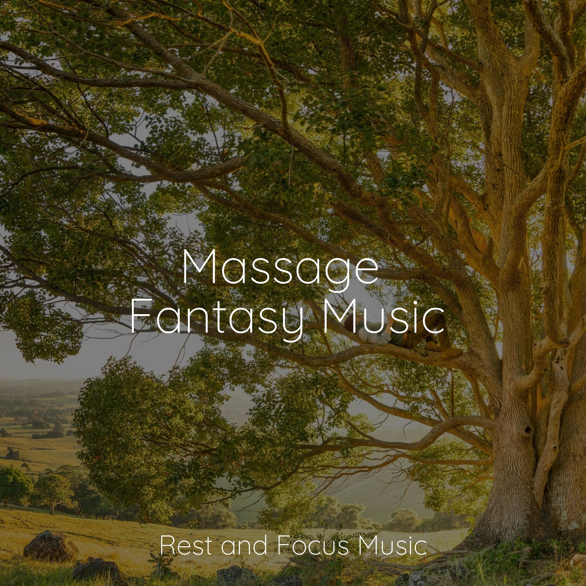 Album cover of Massage Fantasy Music