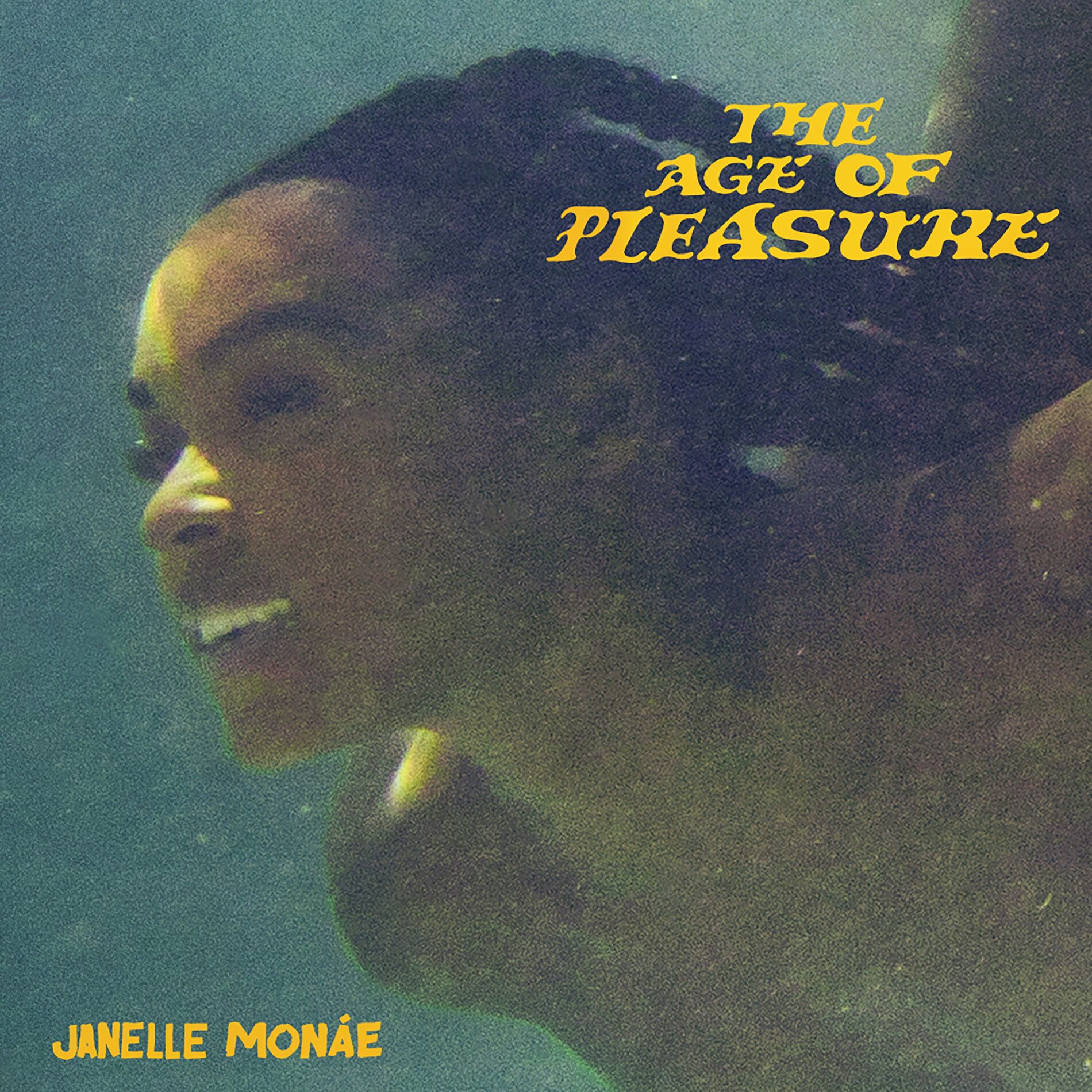 Album cover of Paid In Pleasure