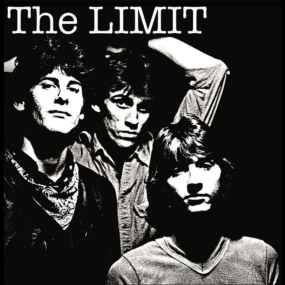 Picture of The Limit