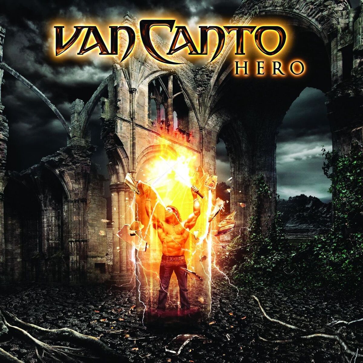 Album cover of Hero