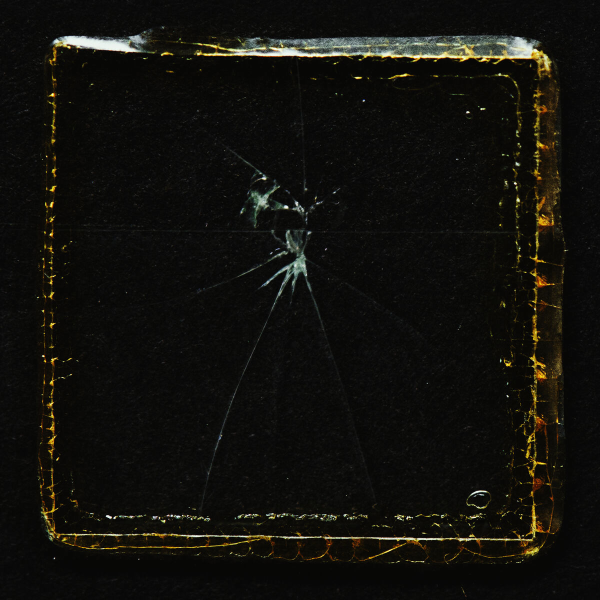 Album cover of Haunt