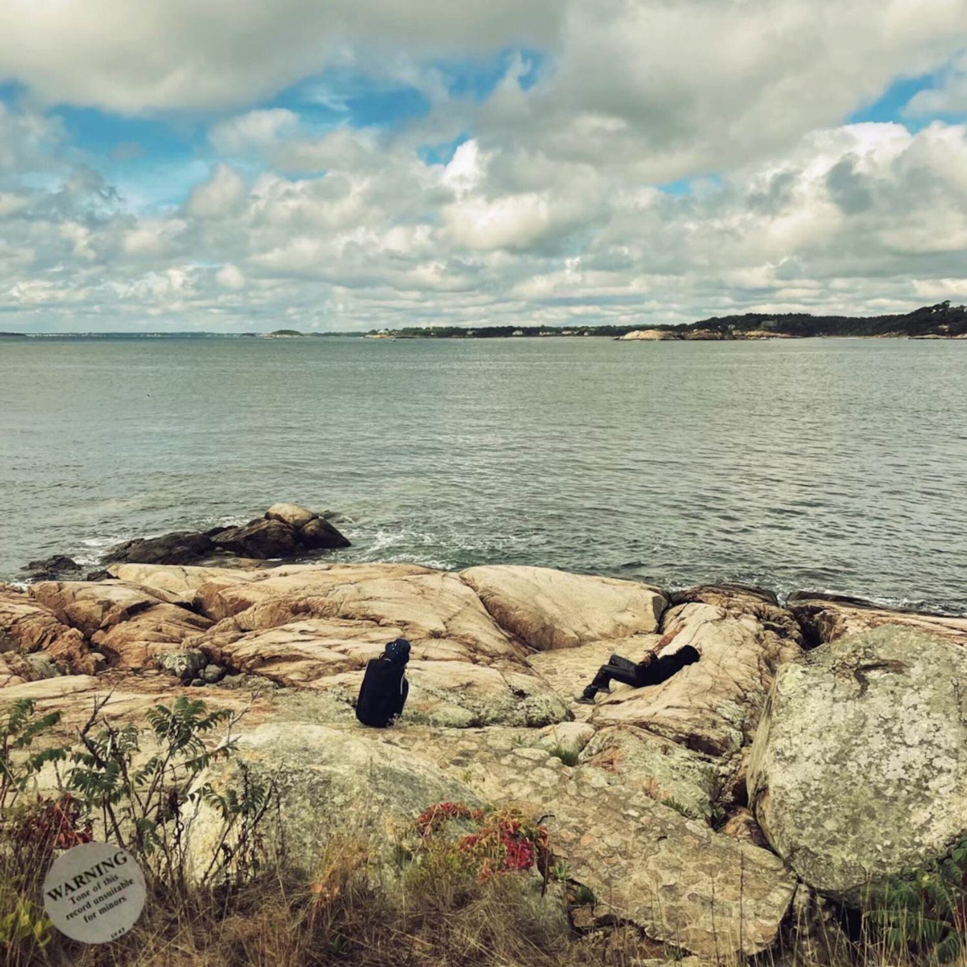 Album cover of Shoreline