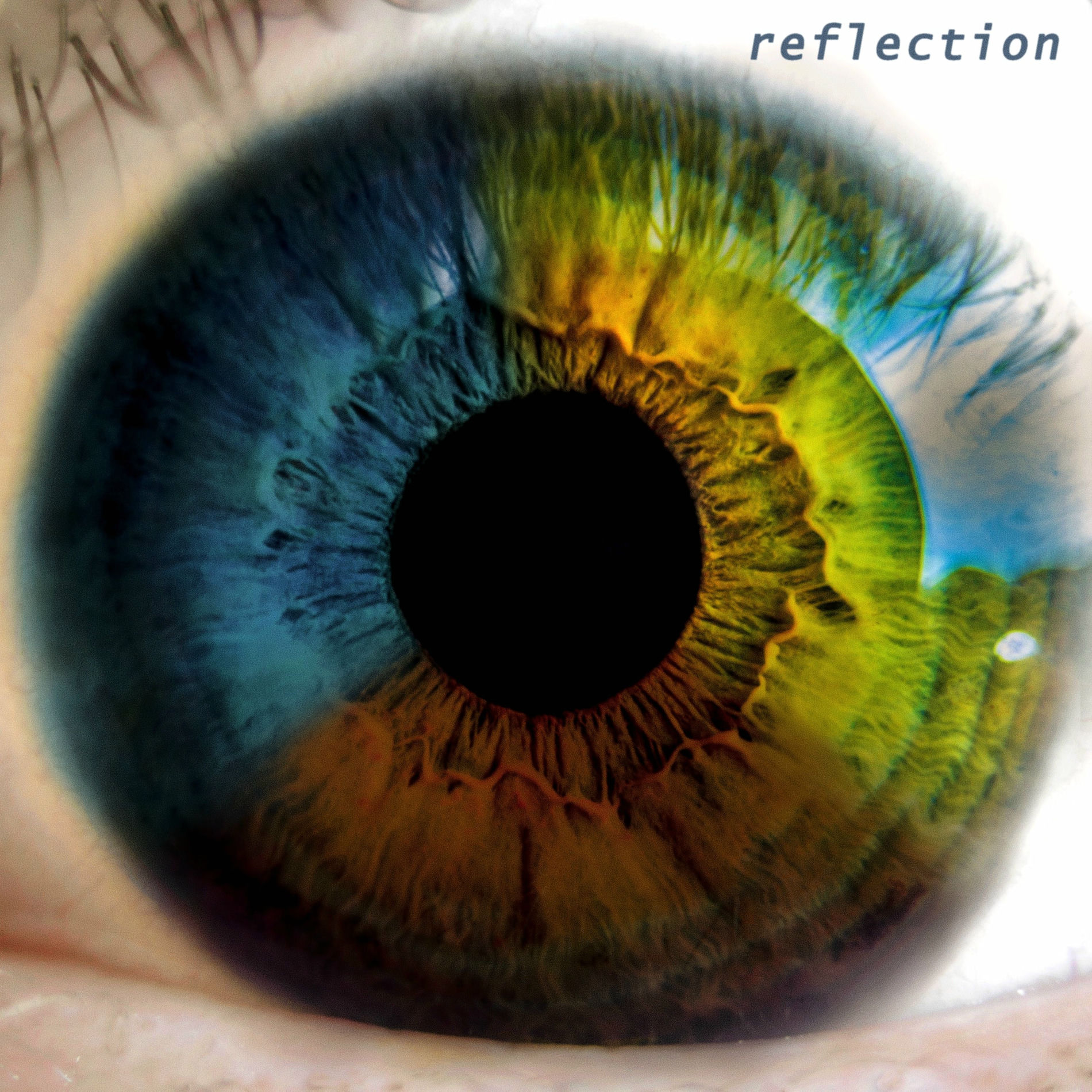 Album cover of Reflection
