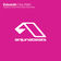 One Wish (Daniel Kandi & Mark Andrez Remix) by Evbointh album cover