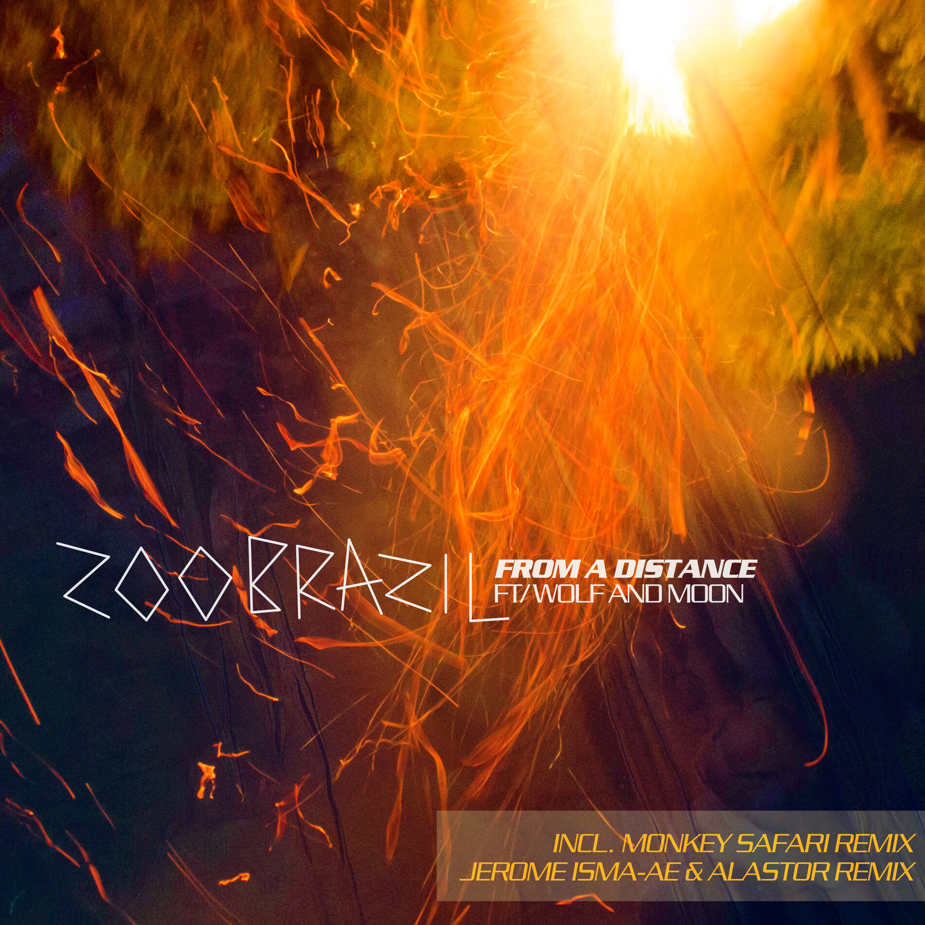 Album cover of From a Distance