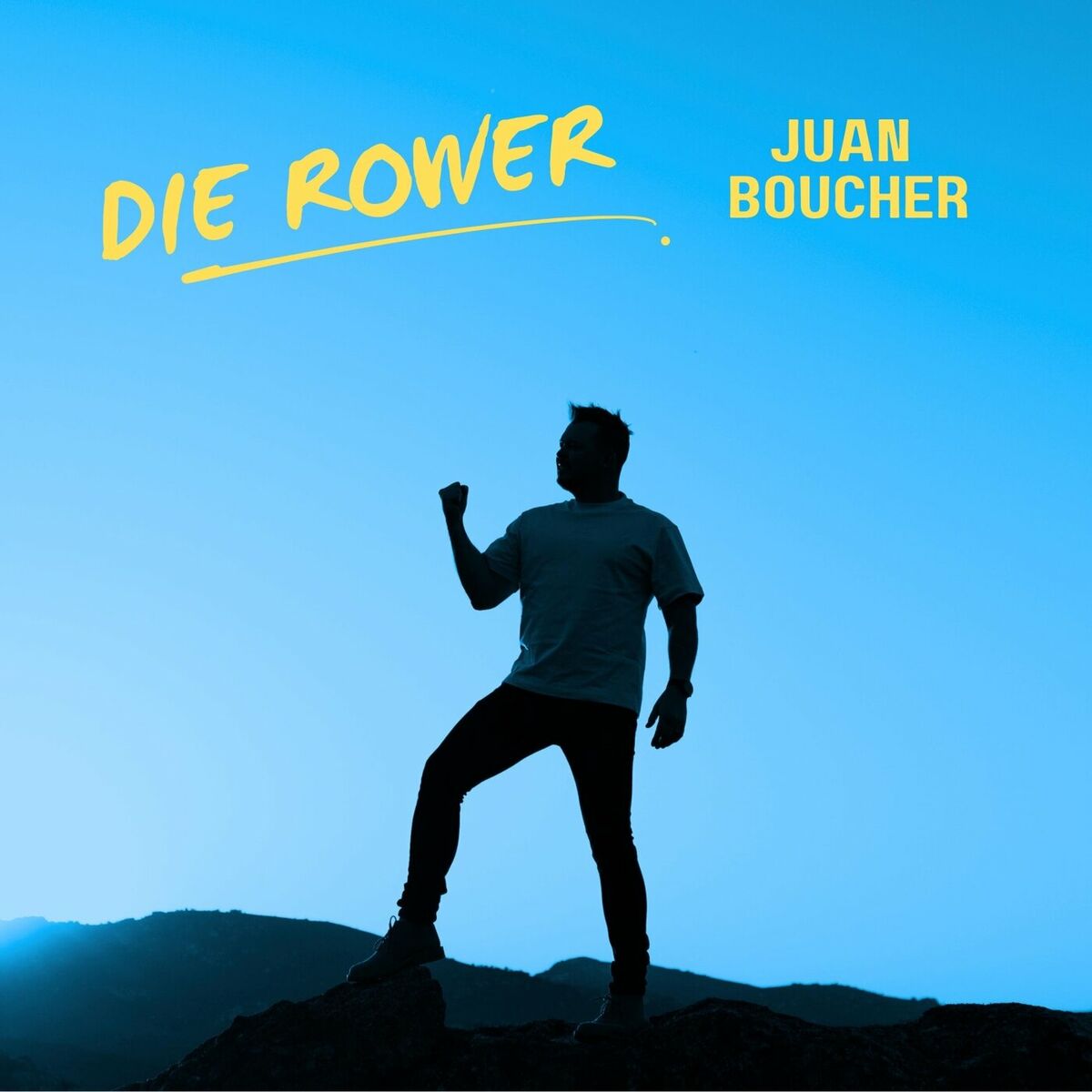 Album cover of Die Rower