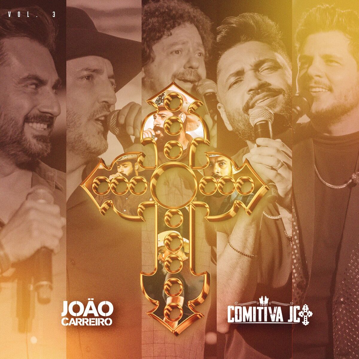 Album cover of Amor Ingrato
