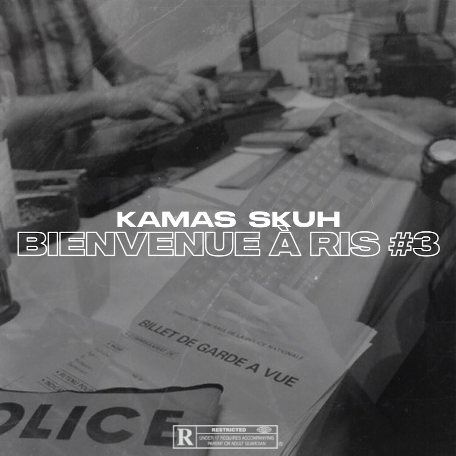Album cover of Bienvenue à Ris #3