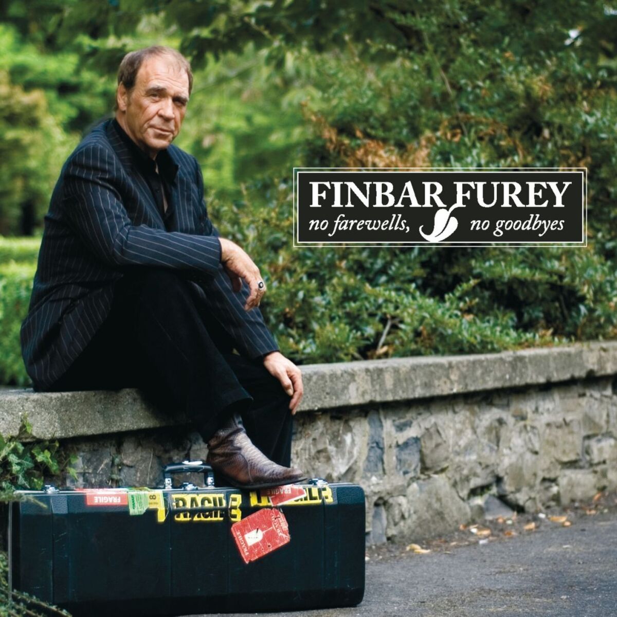 Album cover of No Farewells, No Goodbyes