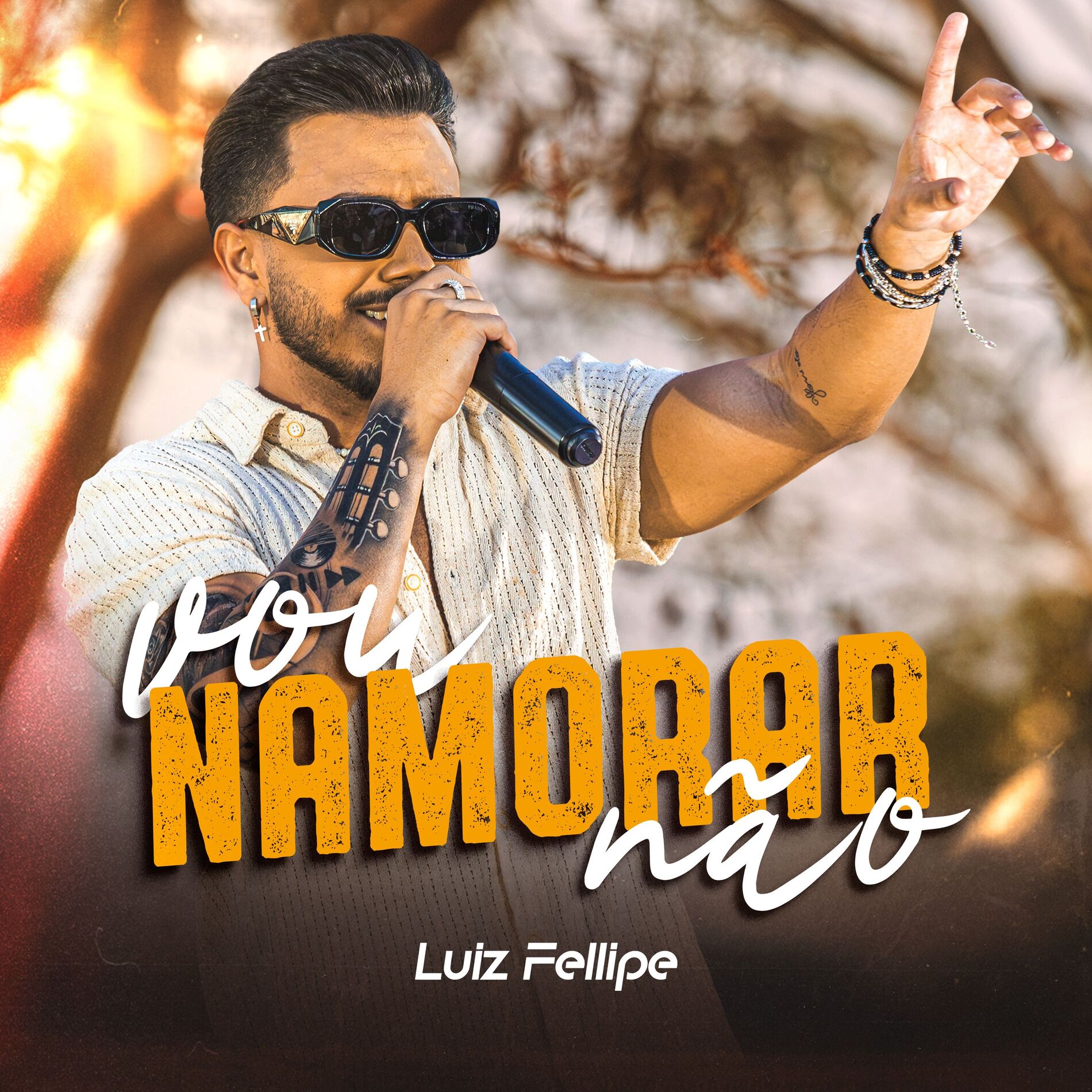 Album cover of Vou Namorar Não