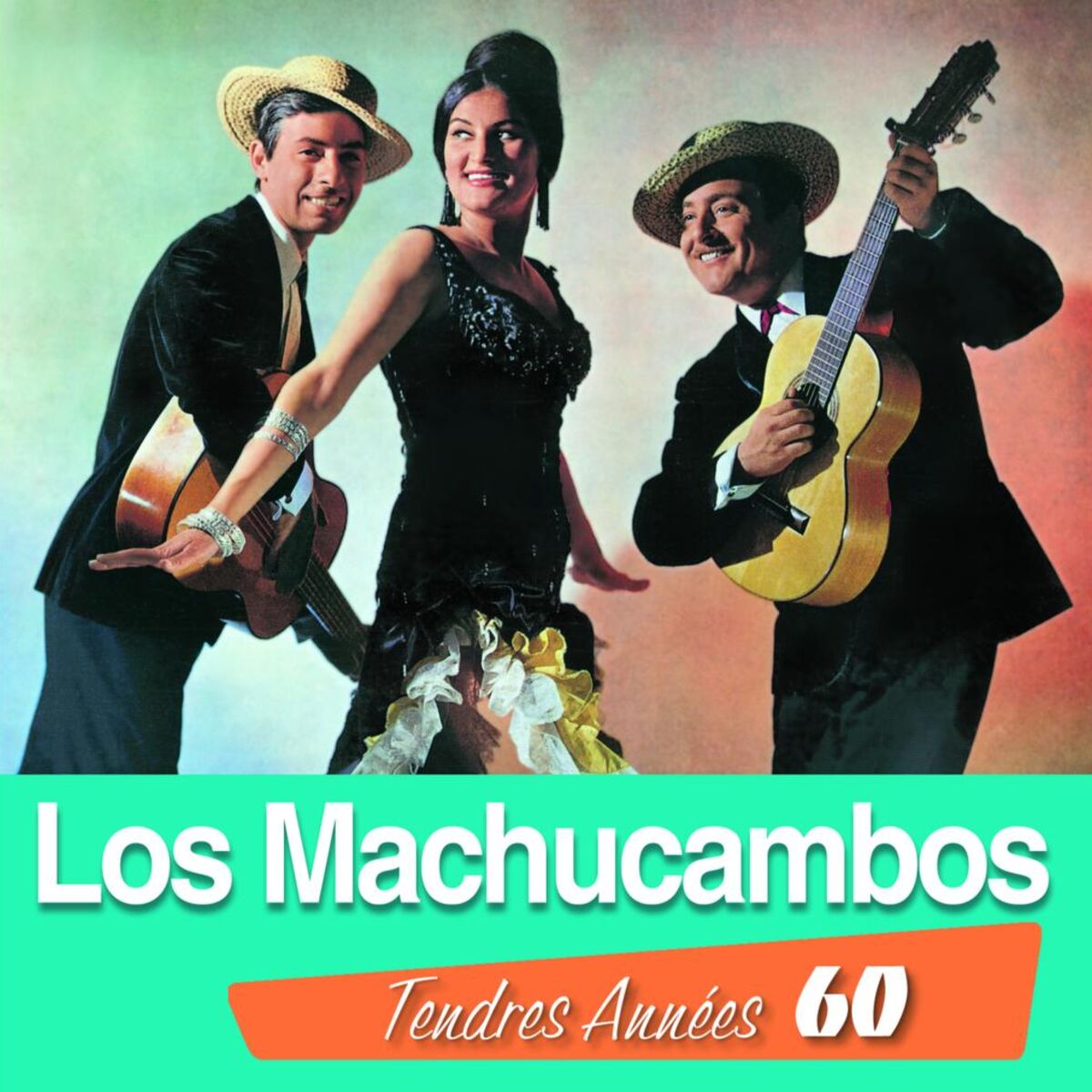 Album cover of Tendres Années 60