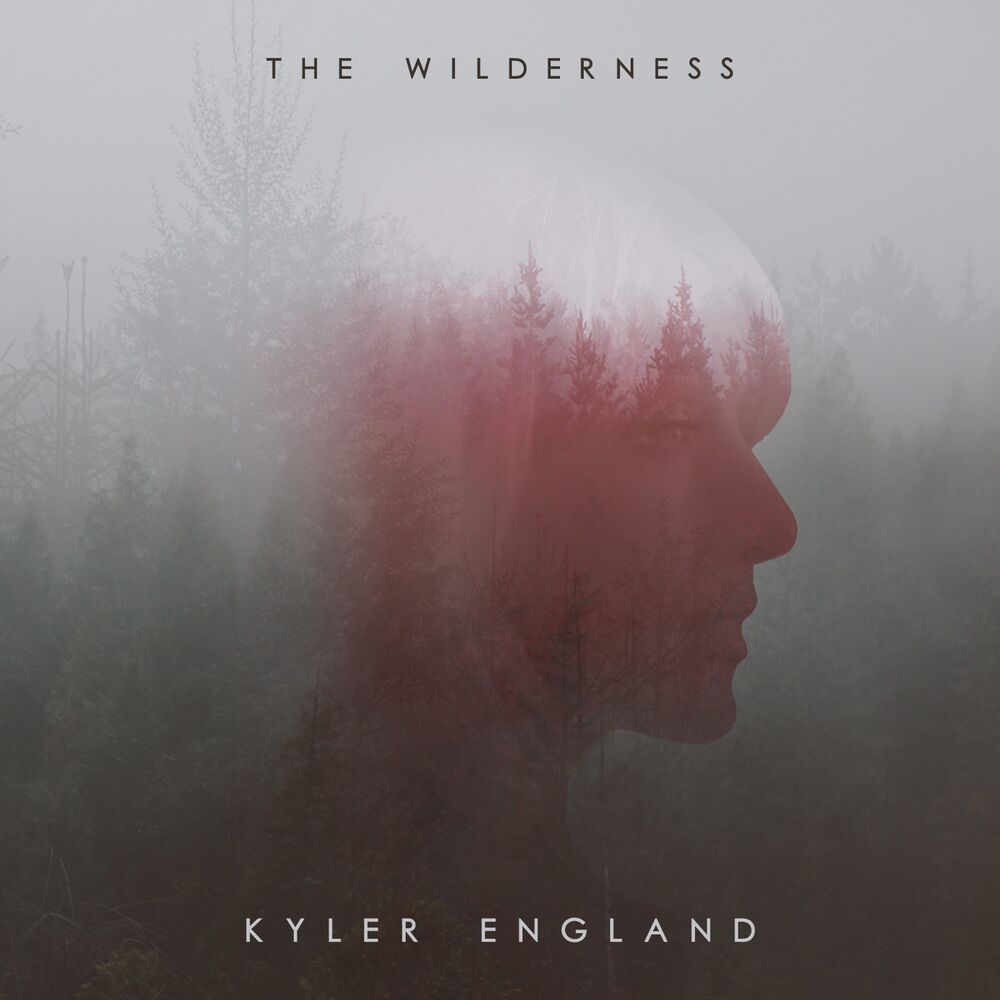 Picture of The Wilderness