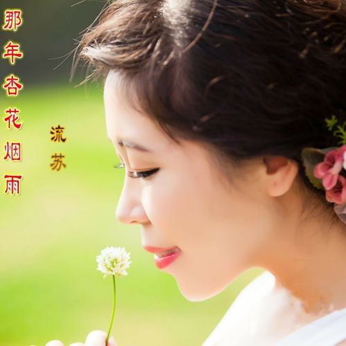 那年杏花烟雨