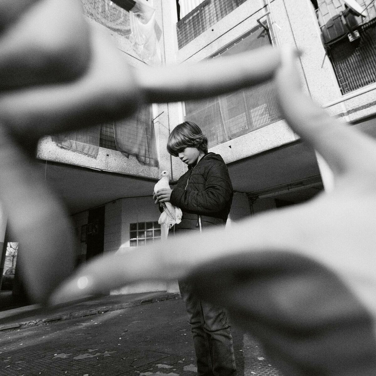 Album cover of Sedicinoni