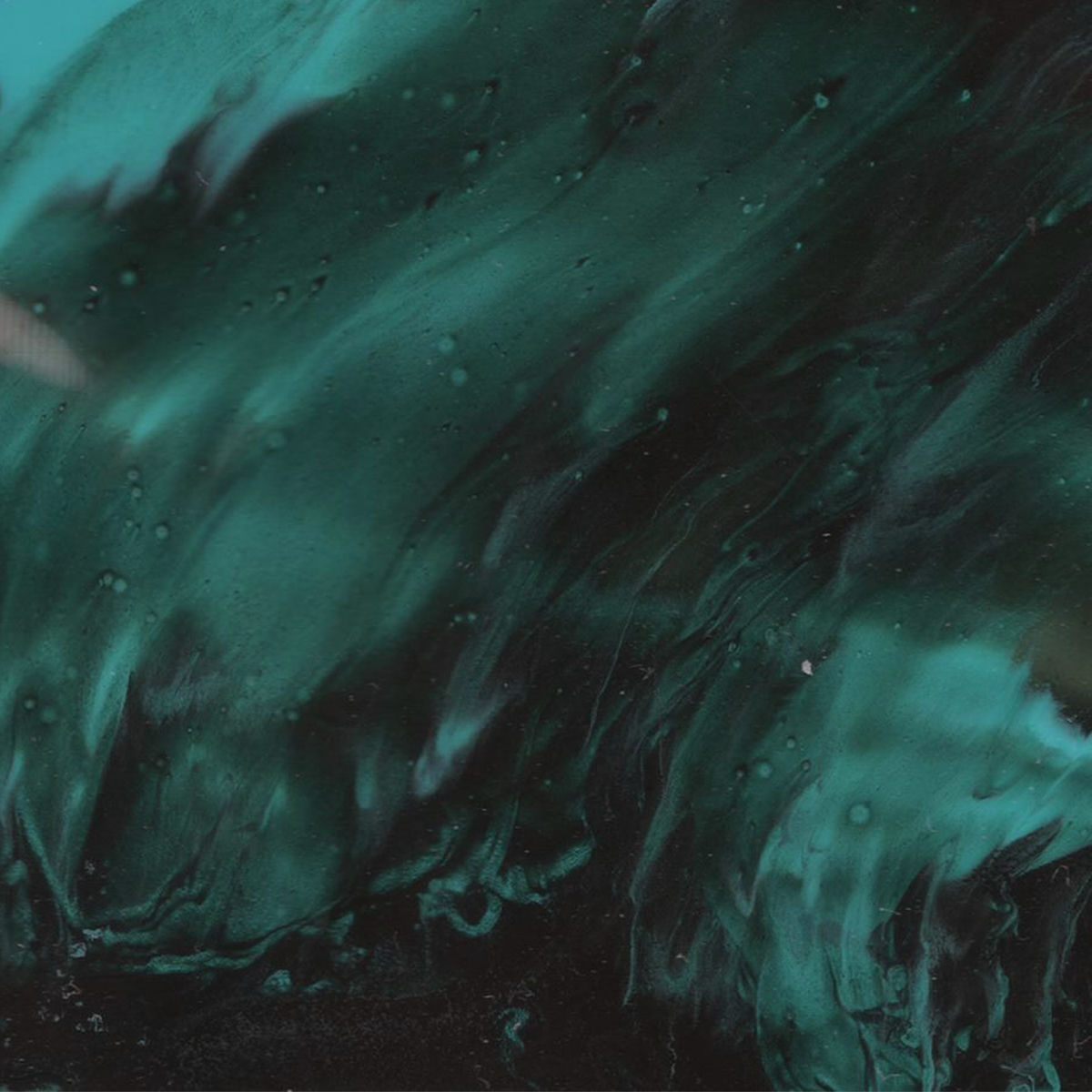 Album cover of For Us