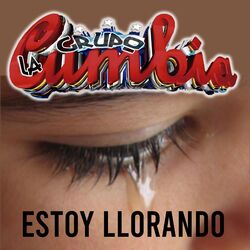 Cover of Estoy Llorando