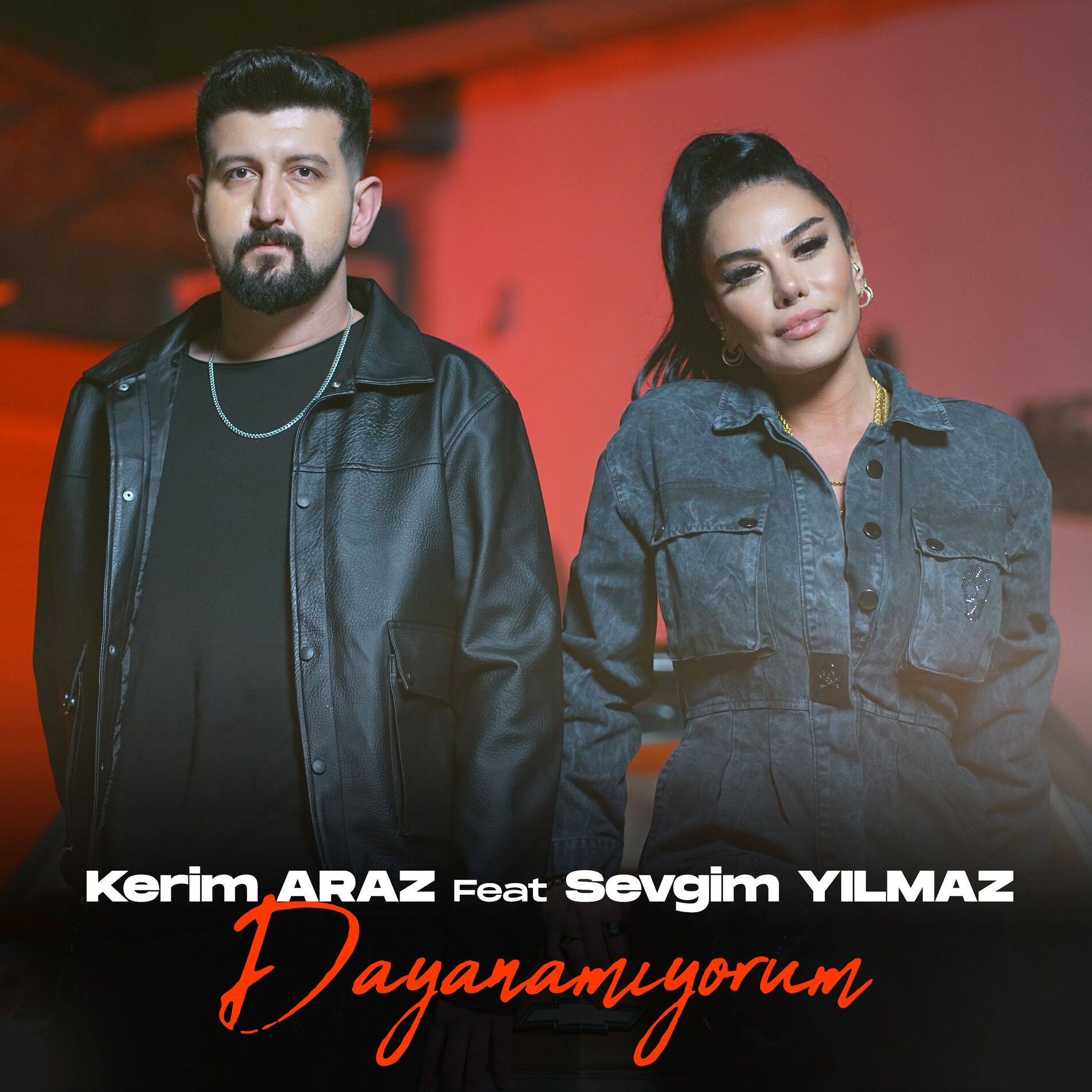 Album cover of Dayanamıyorum