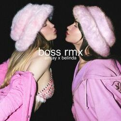 Cover of boss rmx