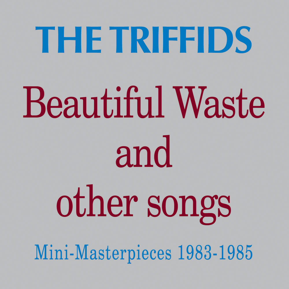 Picture of Beautiful Waste and Other Songs - Mini Masterpieces 1983 - 1985