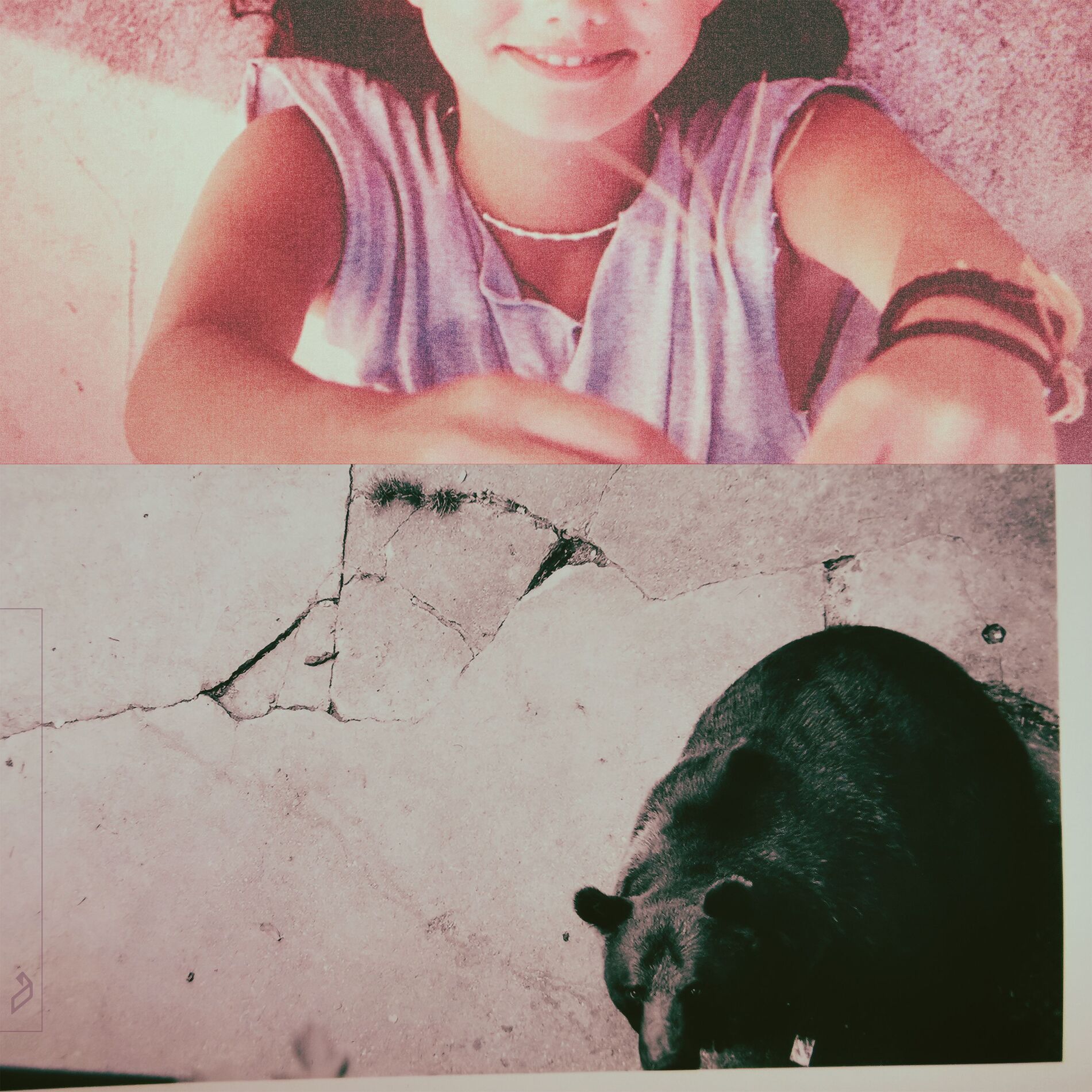 Album cover of Easy Mark