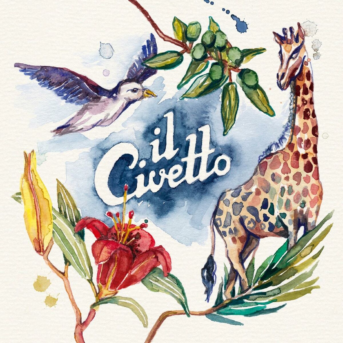 Album cover of il Civetto