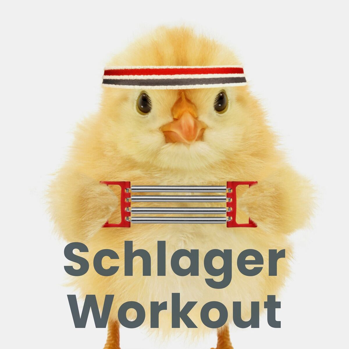 Album cover of Schlager Workout