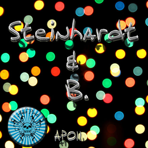 Steinhardt & B