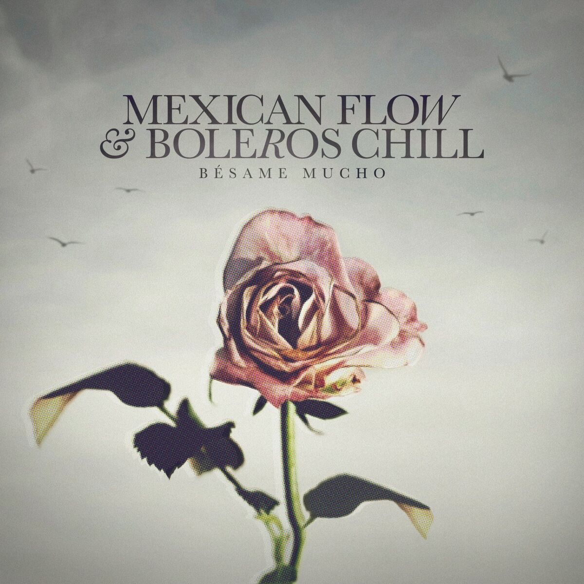 Album cover of Bésame Mucho
