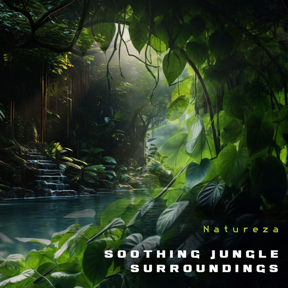 Picture of Soothing Jungle Surroundings