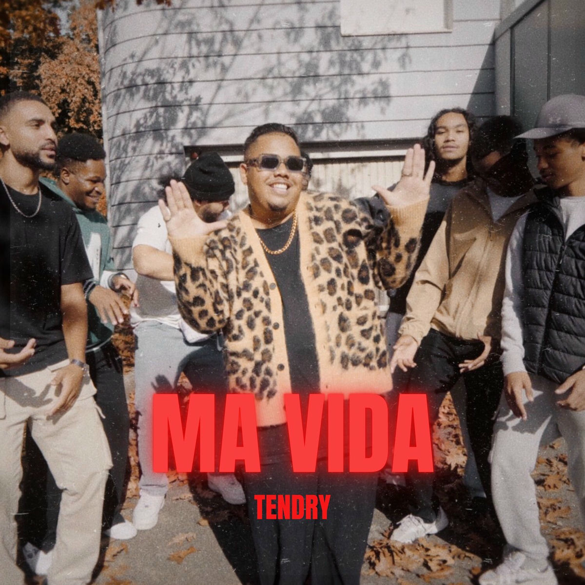 Album cover of Ma vida