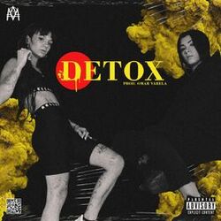 Cover of Detox