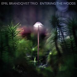 Cover of Entering the Woods