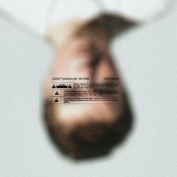 Cover of I Don't Wanna Be Nothin'