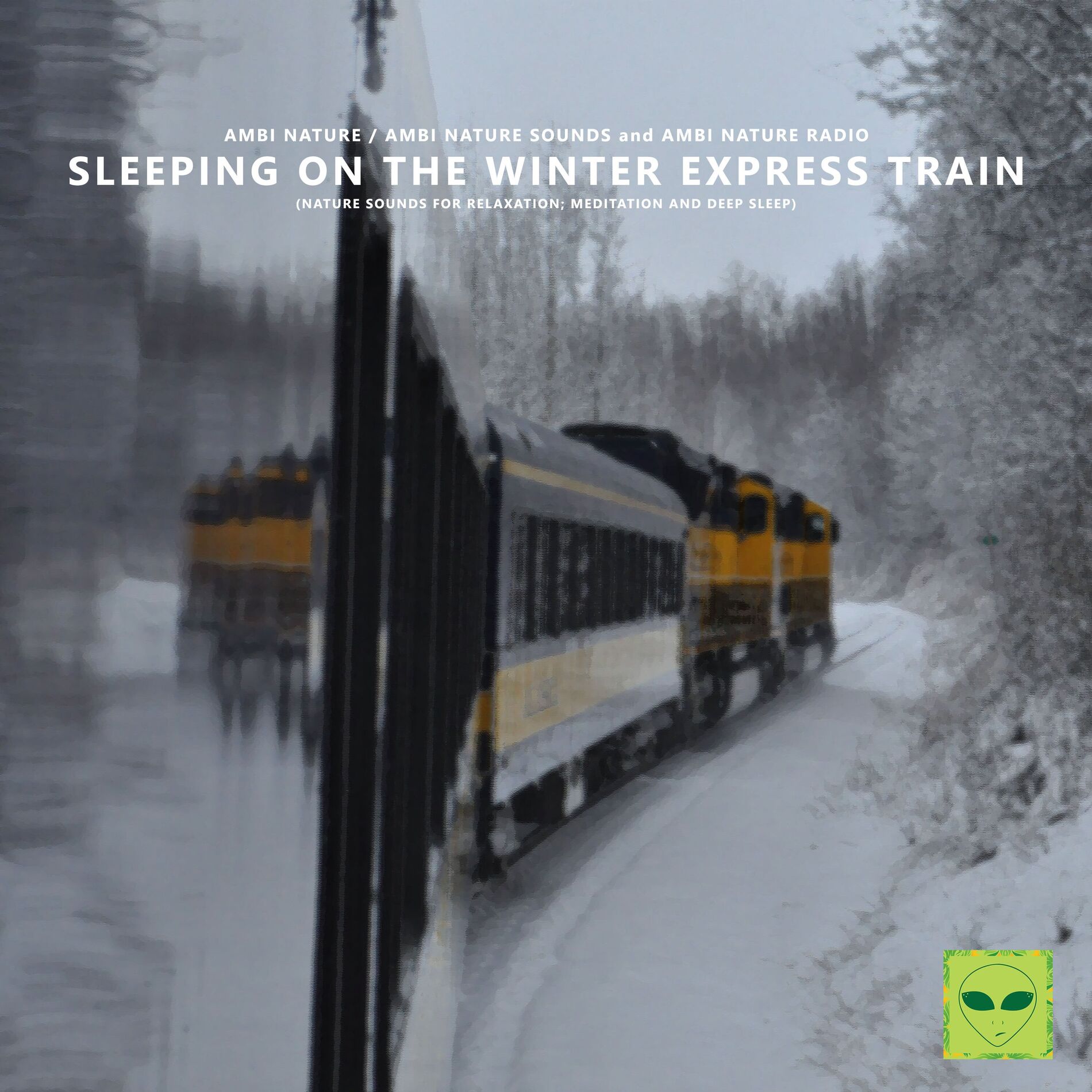 Album cover of Sleeping on the Winter Express Train (Nature Sounds for Relaxation, Meditation and Deep Sleep)