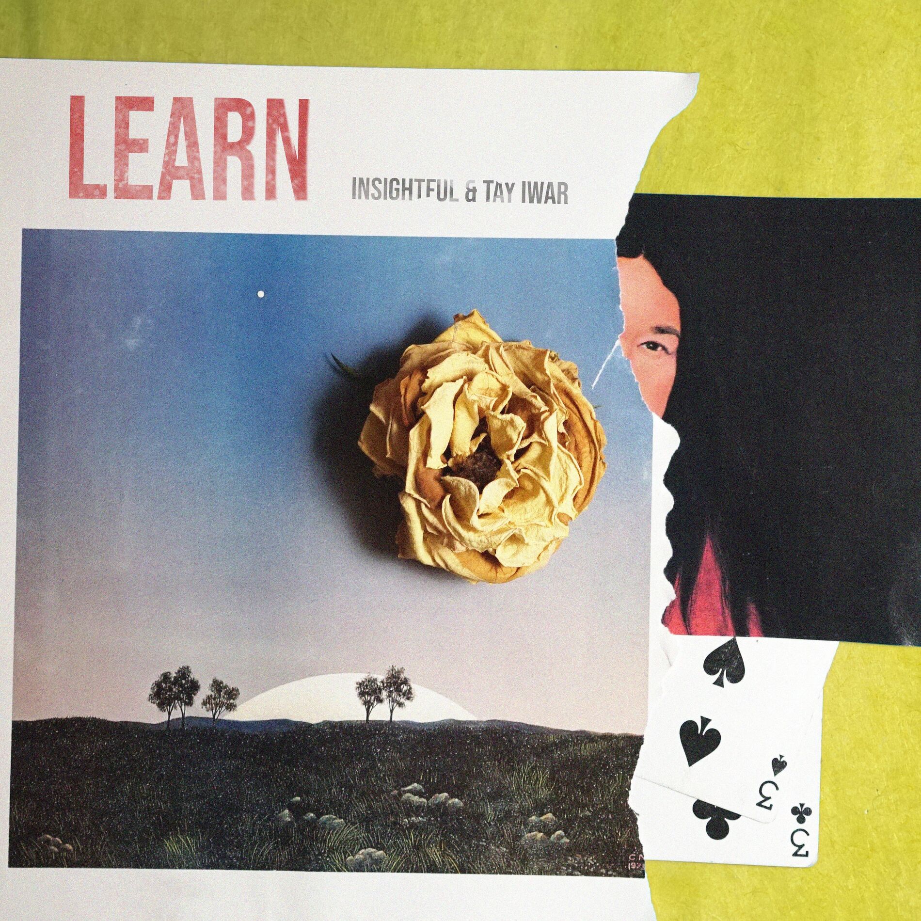 Album cover of Learn