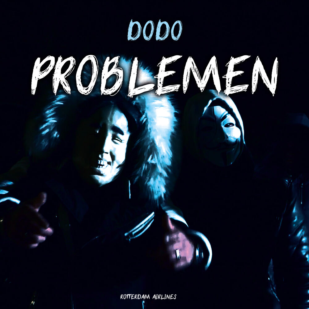 Picture of Problemen
