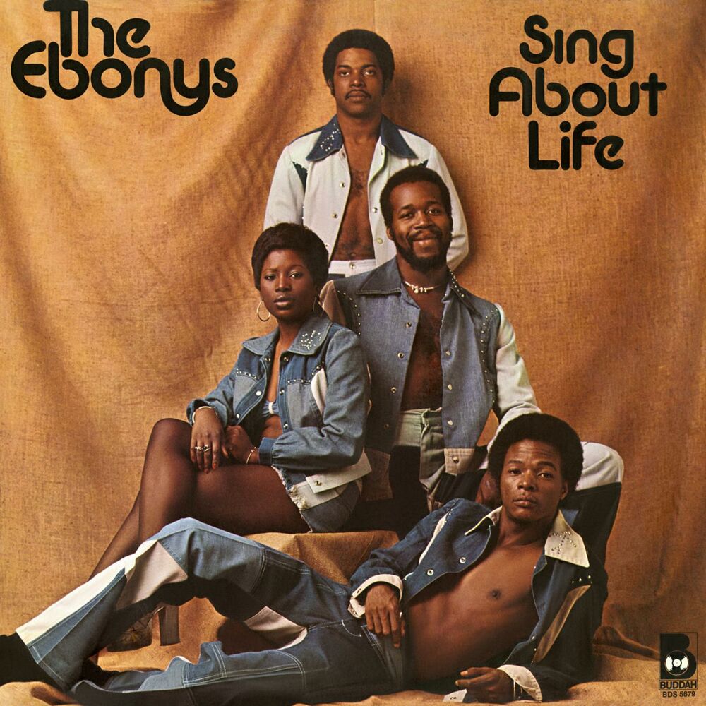 Picture of Sing About Life
