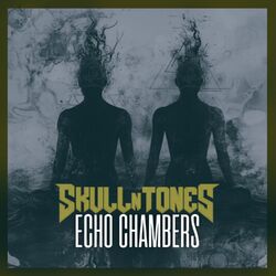 Cover of Echo Chambers