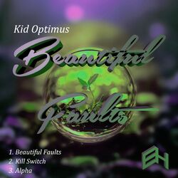 Cover of Beautiful Faults