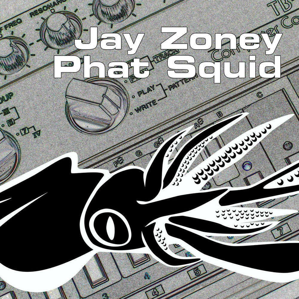 Picture of Phat Squid