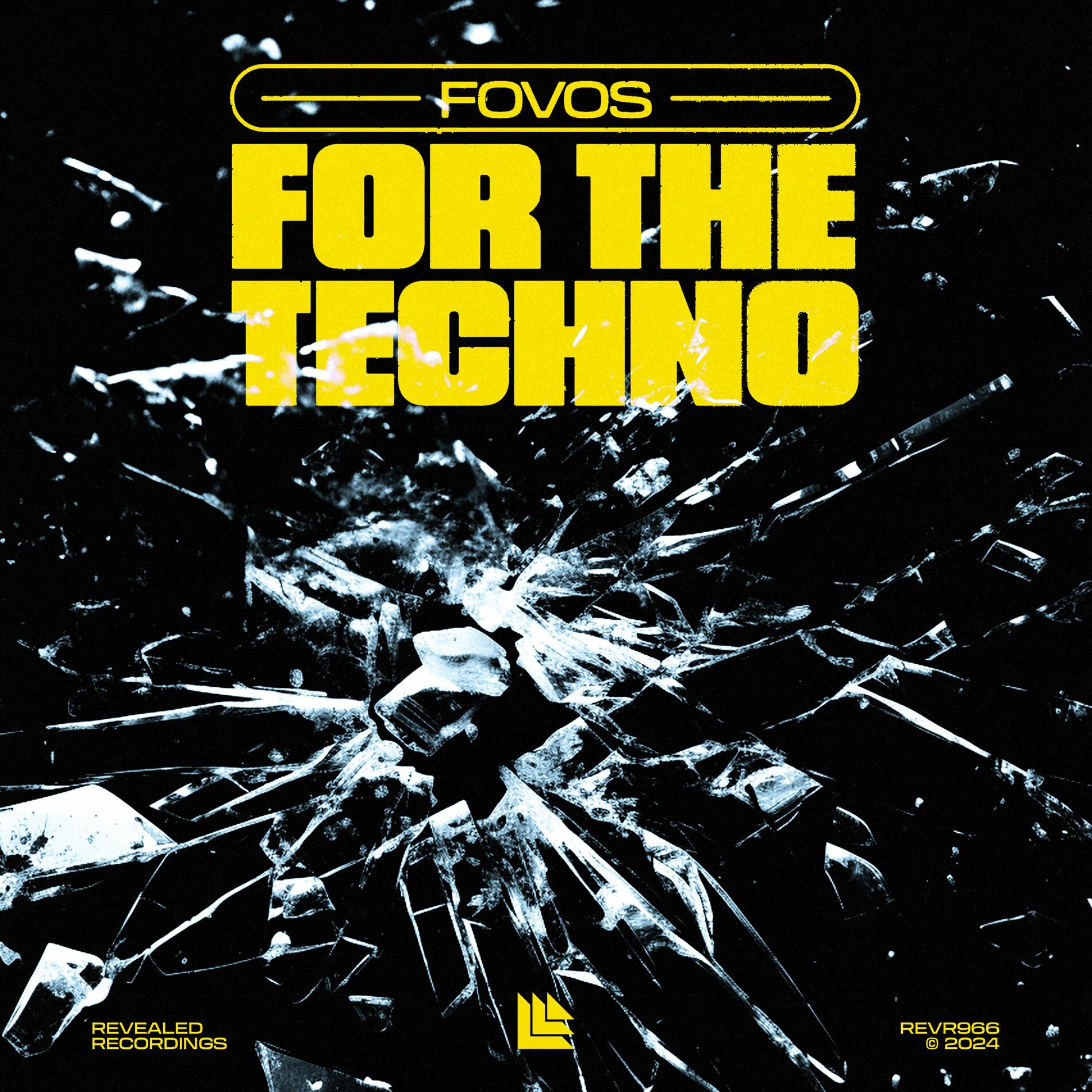 Album cover of For The Techno