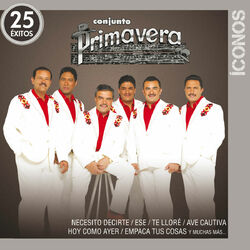 Cover of Íconos 25 Éxitos