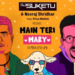 Cover of Main Teri Mary