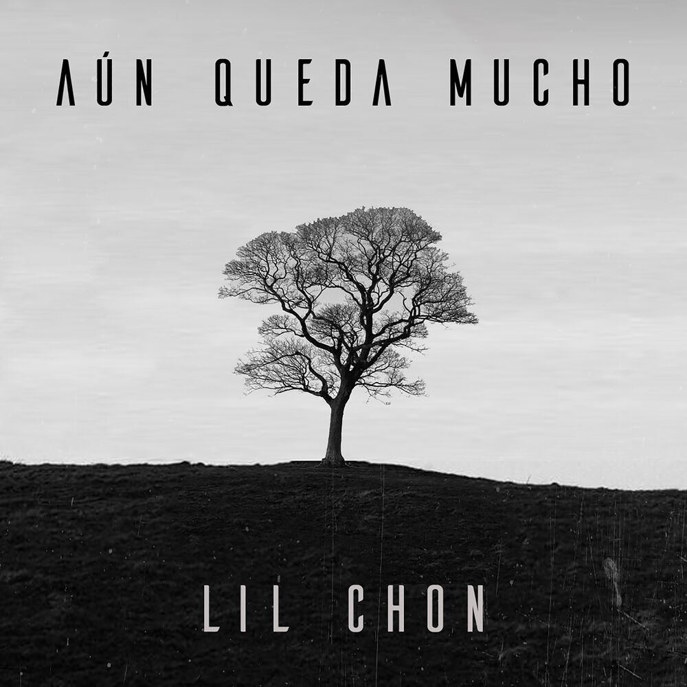 Picture of Aùn Queda Mucho