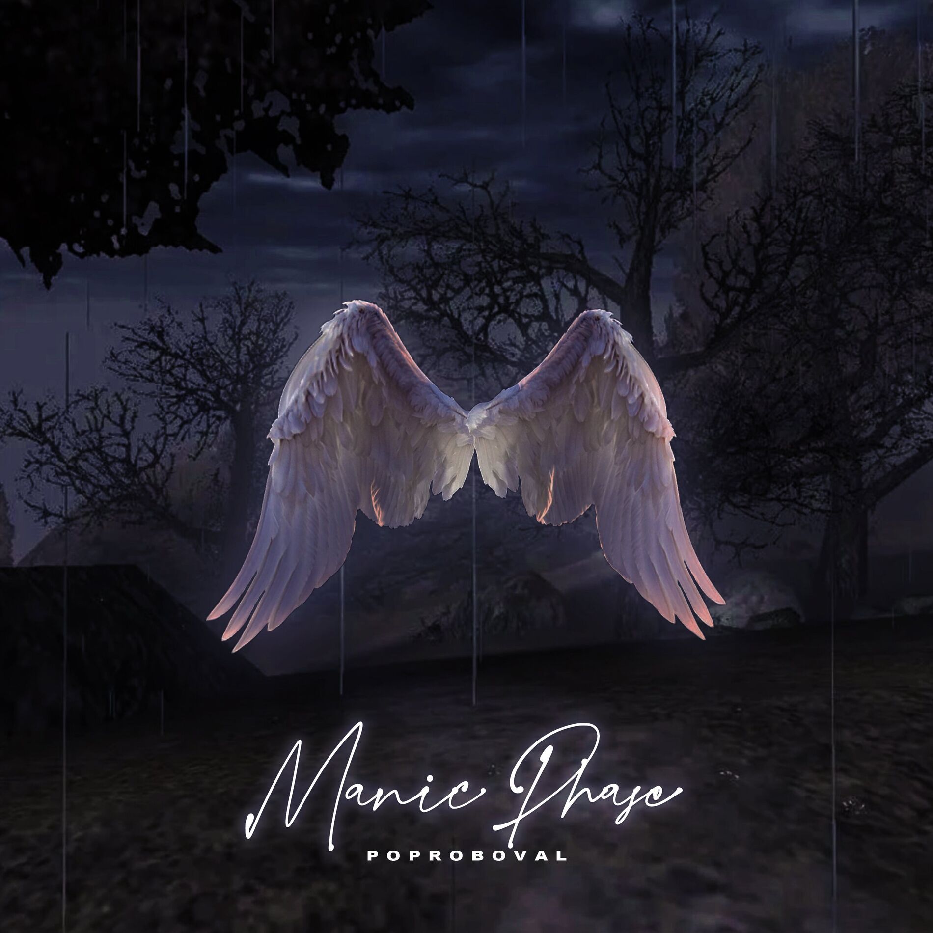 Album cover of Manic Phase