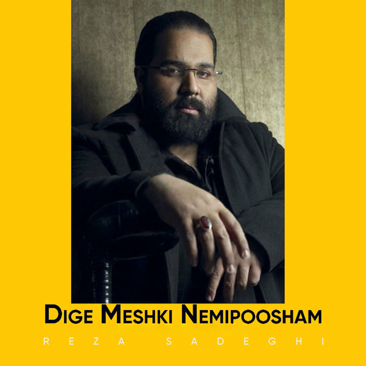 Album cover of Dige Meshki Nemipoosham