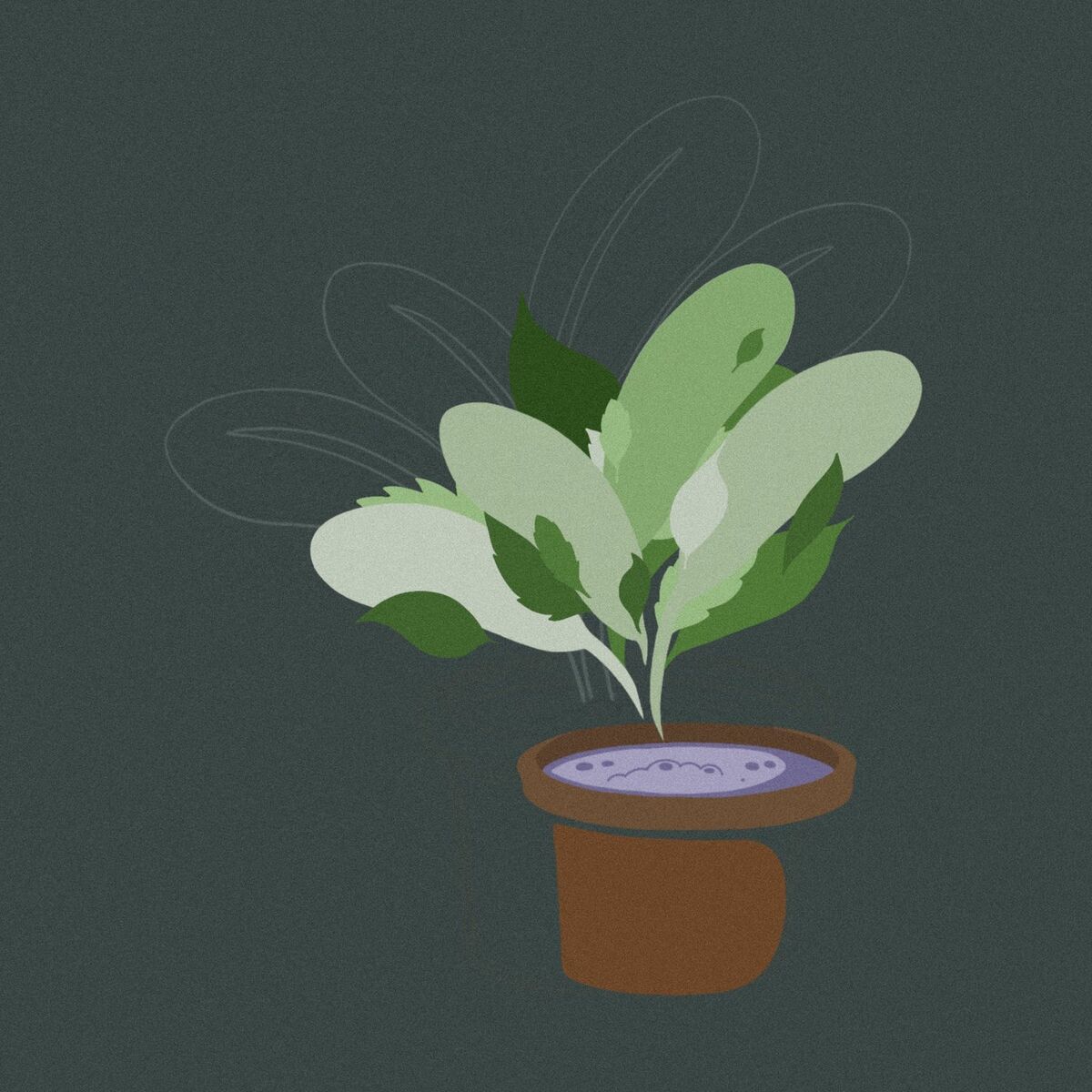 Album cover of Botanical
