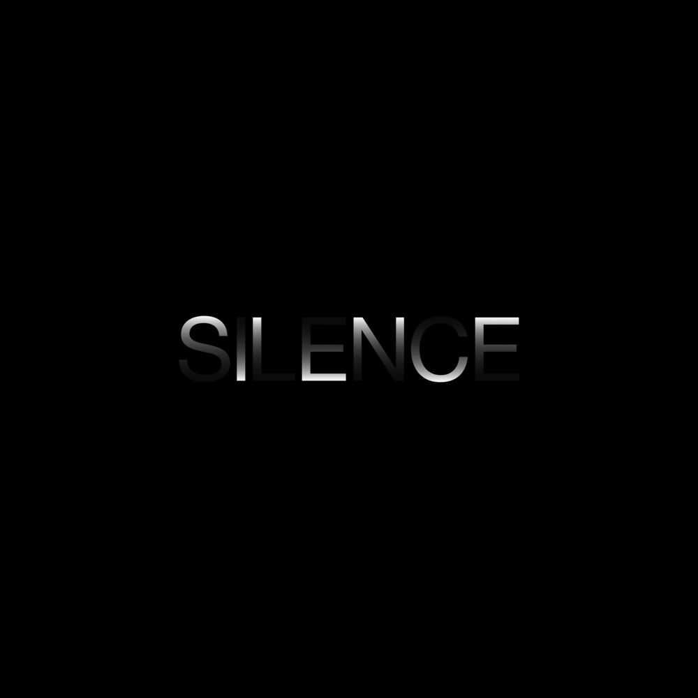 Picture of Silence LP