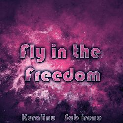 Cover of Fly in the Freedom (from "Sonic Adventure 2")