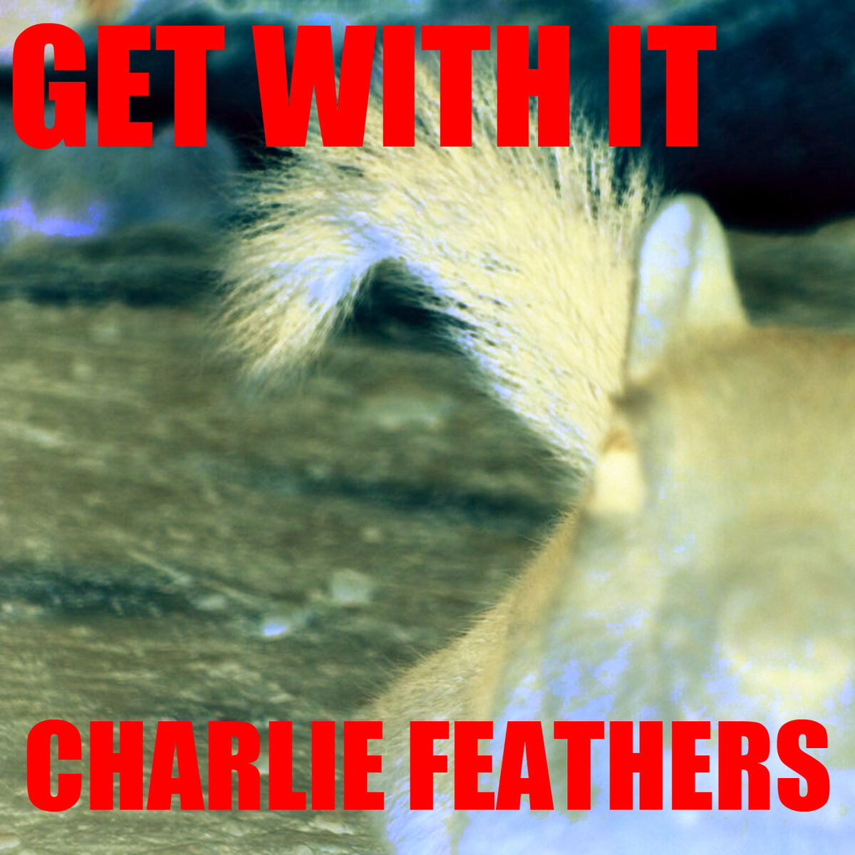 Album cover of Get With It